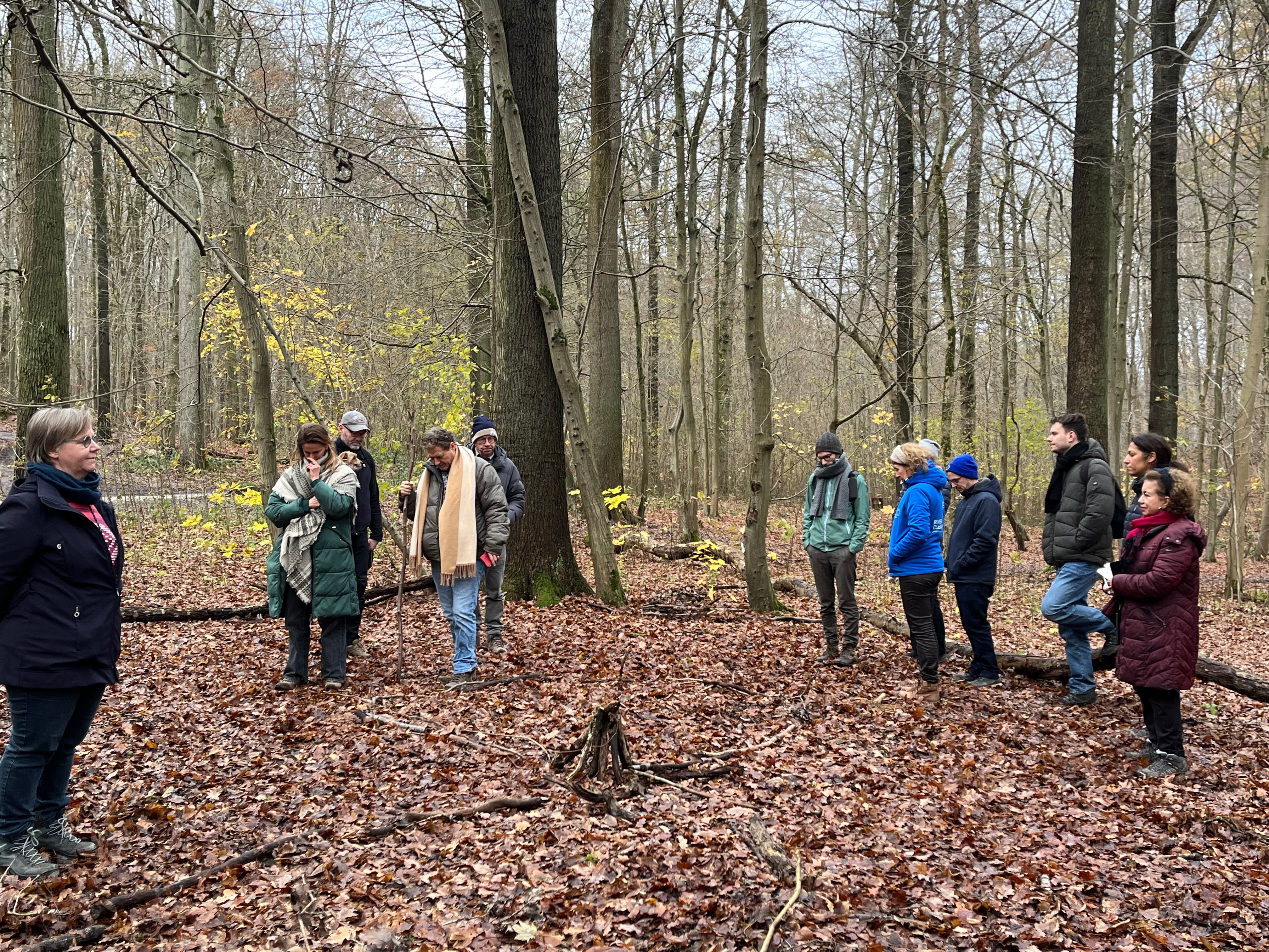 Ecocycle walk in the Sonian Forest