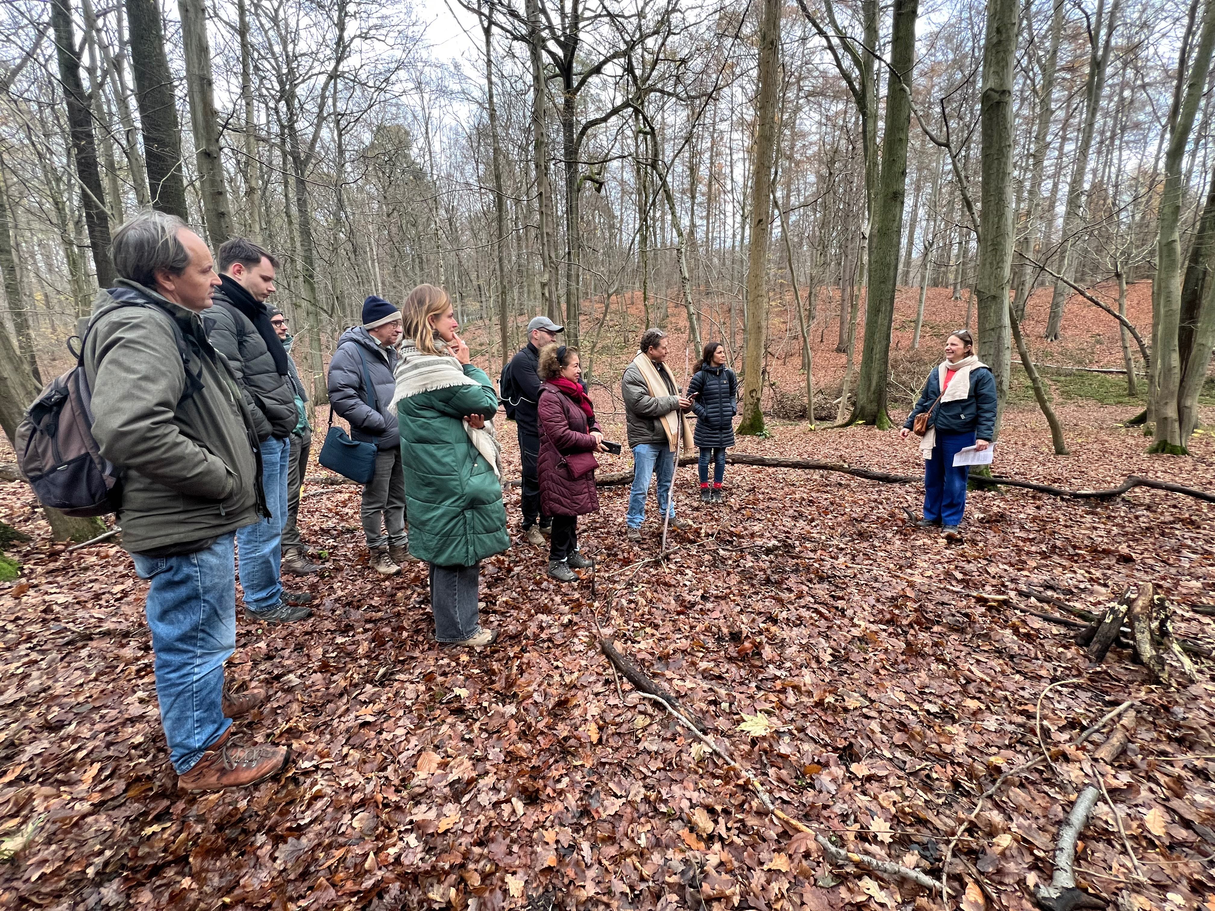 Group reflection in the autumn forest